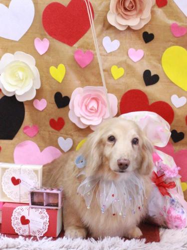 20230215ハクくん